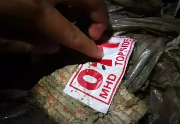 金平私挖走私凍肉事件調查：挖一斤可賣5元，一過秤就給錢