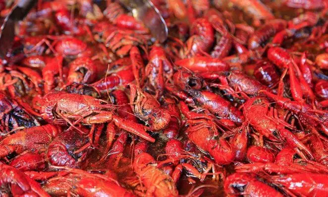 小龍蝦大戰(zhàn)開(kāi)幕，看看京東、天貓、國(guó)聯(lián)、信良記、安井都是如何搶蝦的？