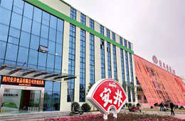 安井只是賣丸子的？不，它已成速凍品類“三劍客