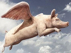 最大養豬戶巨虧4.6億元！風口上的“二師兄”為啥沒飛？