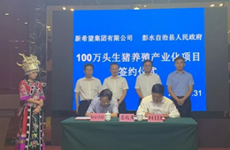 新希望六和落子渝豫甘，生豬規模再增200萬頭！