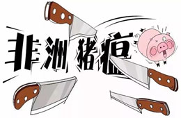 官宣 | 農(nóng)業(yè)農(nóng)村部：28省非瘟疫區(qū)解除封鎖，“豬荒”年底前有望緩解