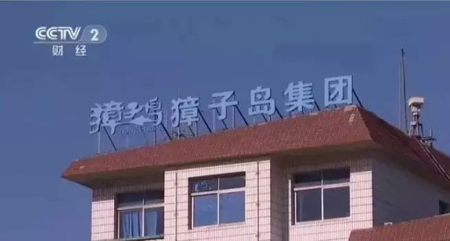 獐子島3億元扇貝“集體暴斃”？