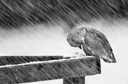 熱點(diǎn) | 海欣營(yíng)銷總監(jiān)給經(jīng)銷商的自救指南：立即行動(dòng)，應(yīng)對(duì)變化！