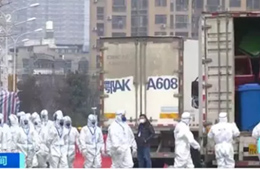 武漢華南海鮮市場完成大規模消殺；牛蛙、烏龜不列入禁食范圍