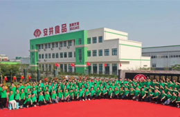 華南基地簽約，河南工廠揭牌，安井 “銷地產(chǎn)”布局又有新動作