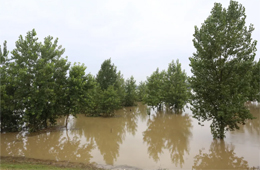 火速馳援！三全、白象、好想你奔赴抗洪一線捐贈美食
