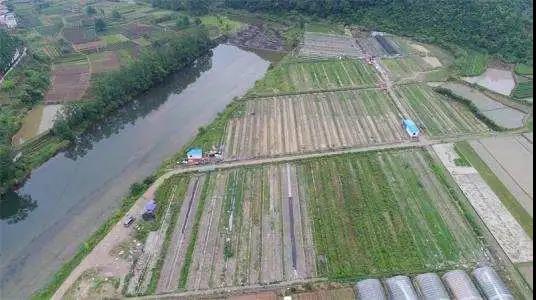 1609127087897628.jpg 1609127087897628.jpg