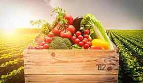 麥金地：從餐配轉(zhuǎn)型食品加工，“三級廚房”打造全國供應(yīng)鏈集群