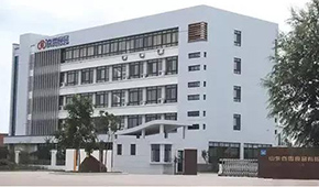 山東又一“雞肉股”IPO！春雪食品新股申購，擬募資5.9億元