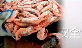 生產(chǎn)日期隨意改、過期蝦換包裝秒變合格品……味庫海鮮攤上事了，曾獲6輪融資