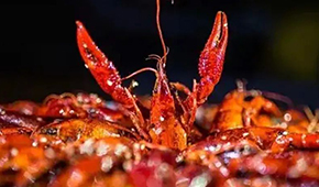 安井再次出手布局，小龍蝦已妥妥成為預制菜行業大單品