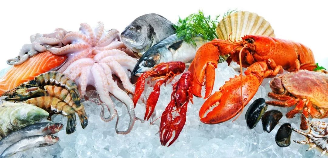 1663723627305954.jpg 1663723627305954.jpg