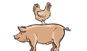 國慶長假后豬、雞價(jià)格雙升，發(fā)改委稱近期將投放第五批中央豬肉儲(chǔ)備