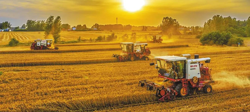 全國7/10的餃子、3/5的湯圓、1/2的火腿腸…河南這樣承包國人餐桌