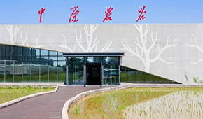 打造千億級種業和糧食產業集群，河南“中原農谷”雛形初現