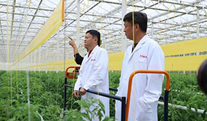 馬家廚房？馬家秘制老鴨煲？馬云的“假動作”為何讓市場興奮？