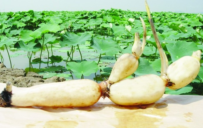 1716429116908806.png 1716429116908806.png