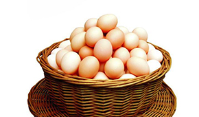 肉蛋制品市場快速增長，如何抓住新型品類機(jī)會點？