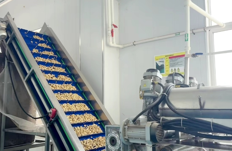 1731547830777023.png 1731547830777023.png