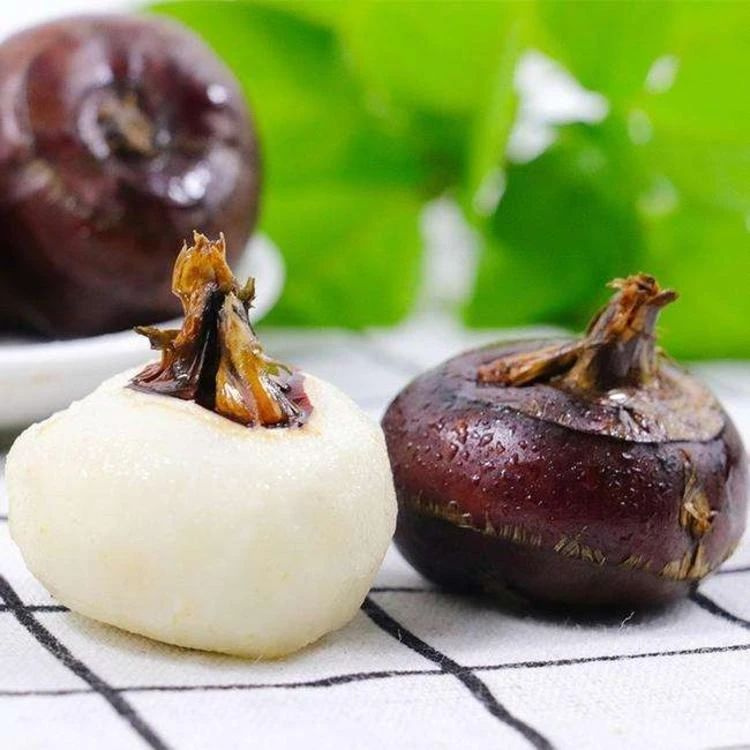 1741758428644117.jpg 1741758428644117.jpg