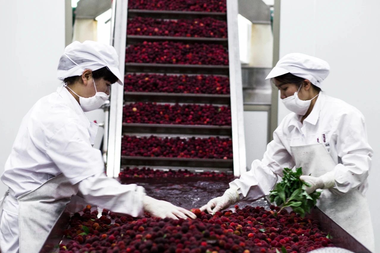 1742952899754080.jpg 1742952899754080.jpg