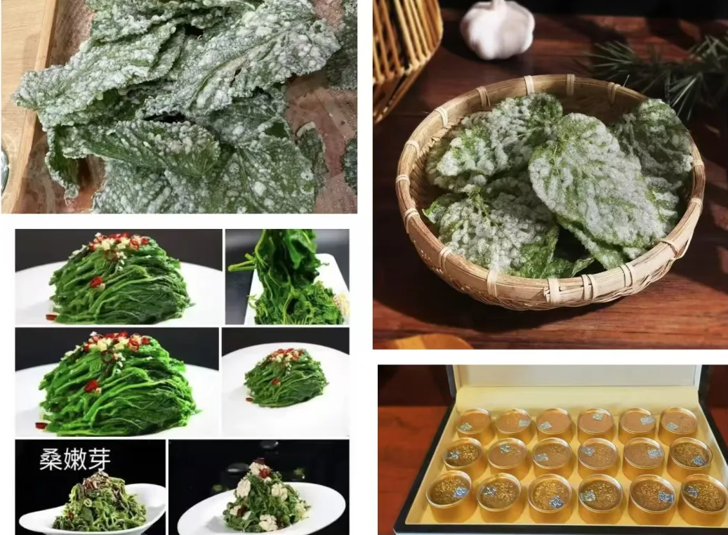 1744162885821950.png 1744162885821950.png