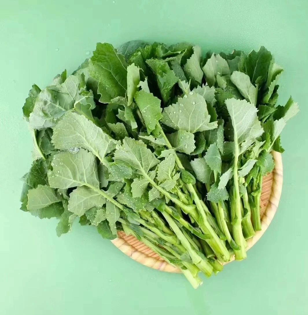 1754029168989329.jpg 1754029168989329.jpg