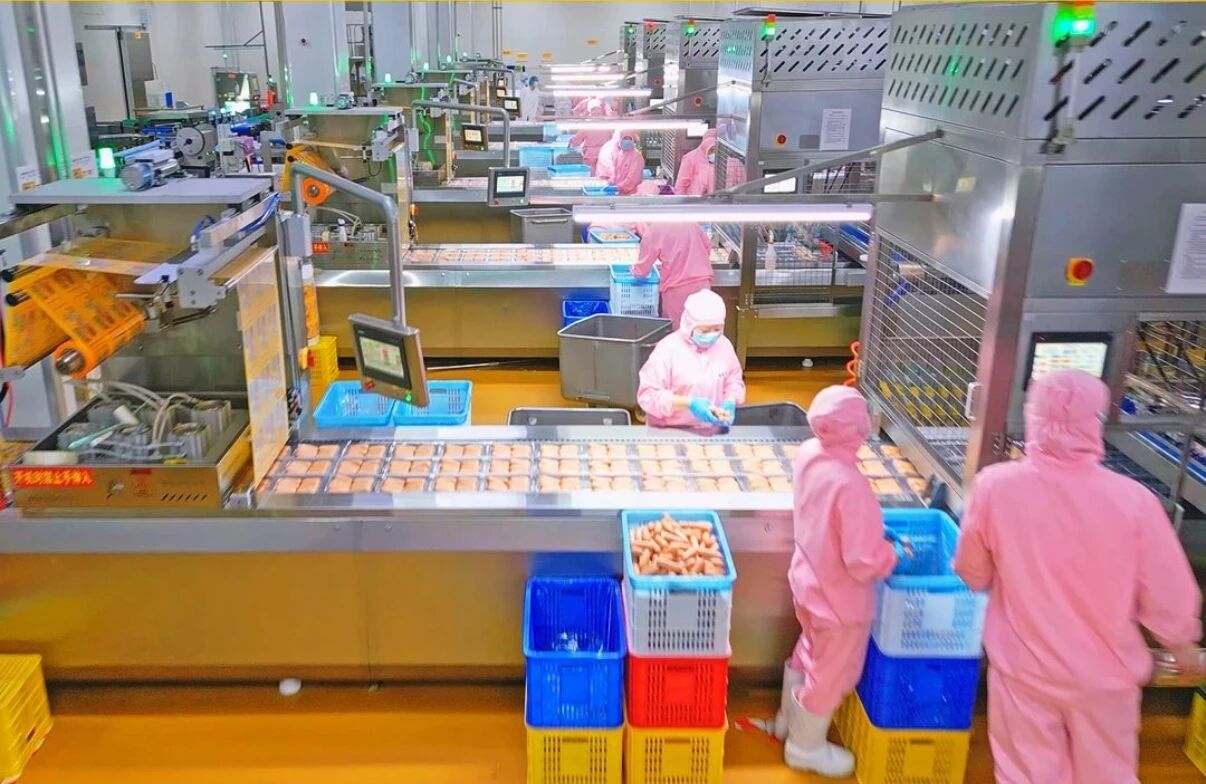 1756949561782794.jpg 1756949561782794.jpg