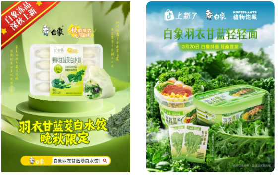 1761528810120073.png image.png