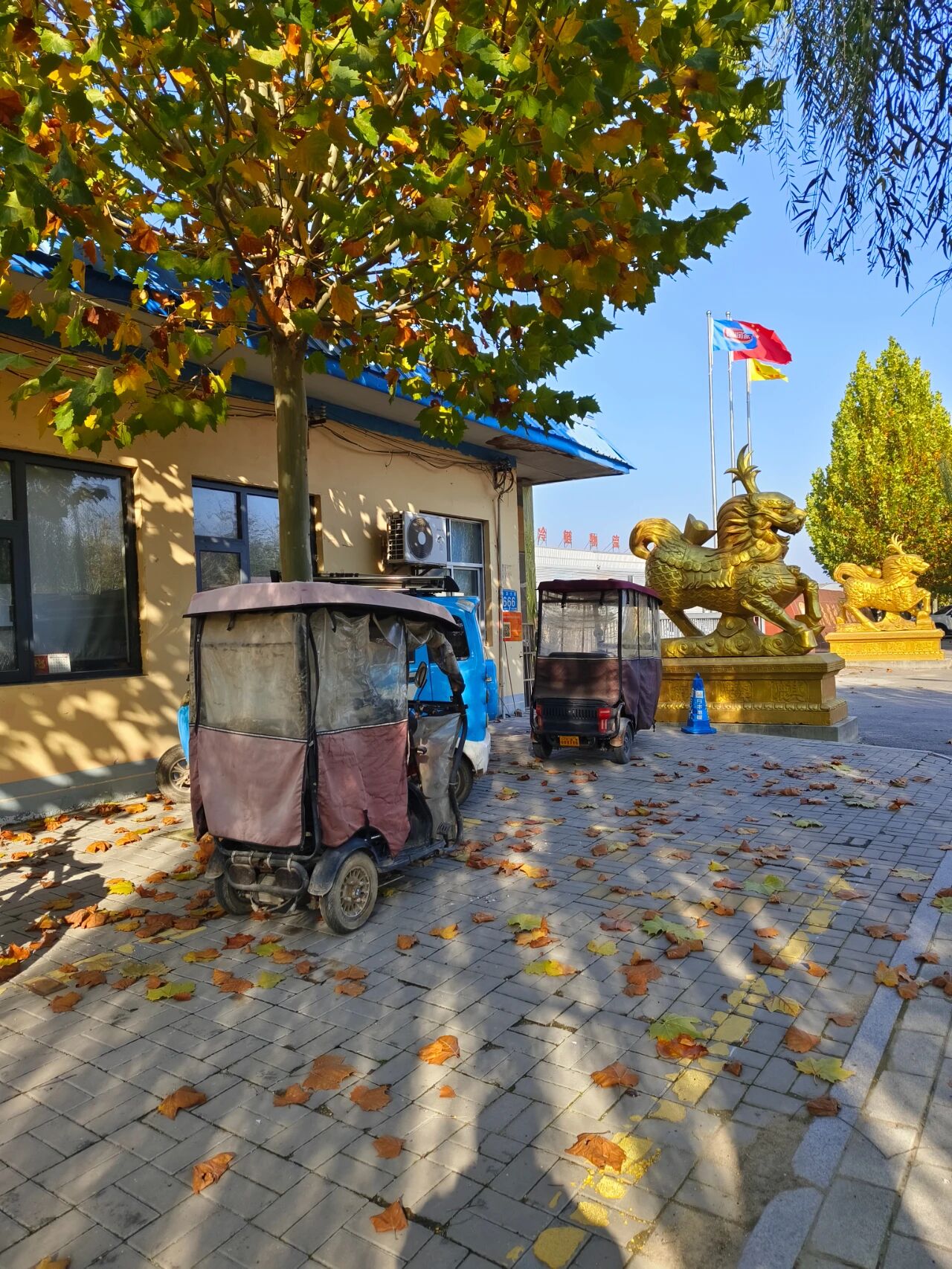 1763341768254658.jpg 1763341768254658.jpg