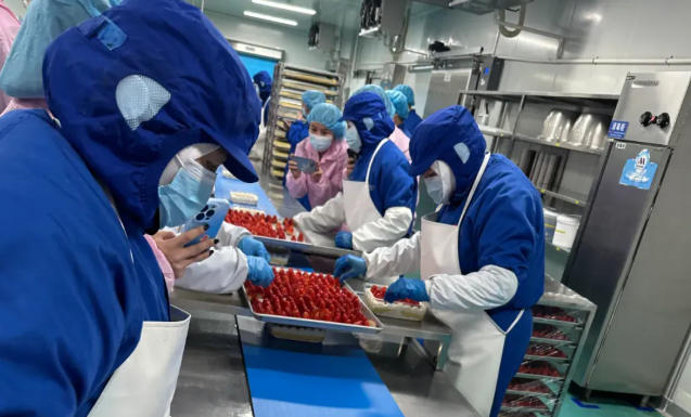 山姆麻薯驚現(xiàn)活老鼠、盒馬草莓蛋糕錯把鹽當(dāng)糖，新零售烘焙的濾鏡碎了？